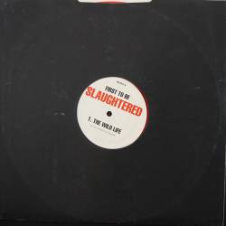 Slaughter (USA) : First to Be Slaughtered